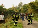 LKW faehrt in den Rhein Langel Hitdorf Faehre P332